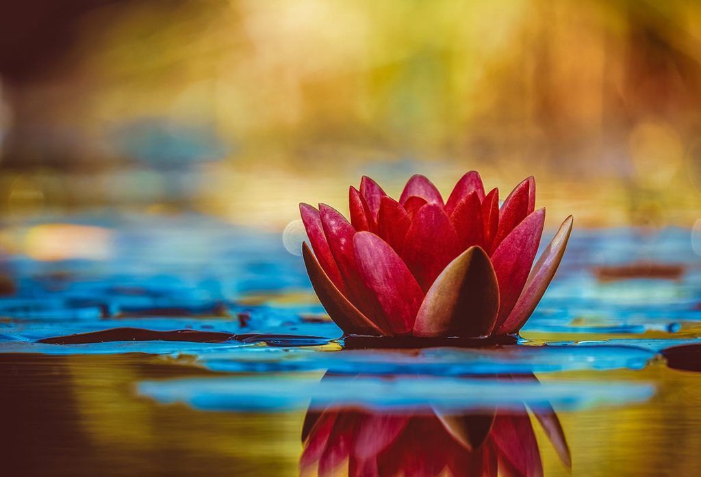 Meditación para liberar tensiones en cuello y hombros